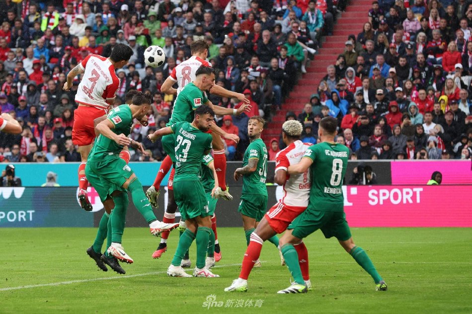 男团在本次 男团在本次